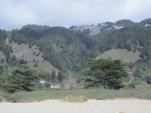 IMG_1174.JPG